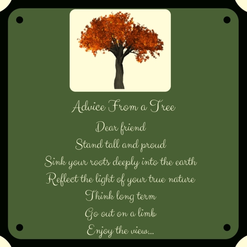 Advice From a Tree.3